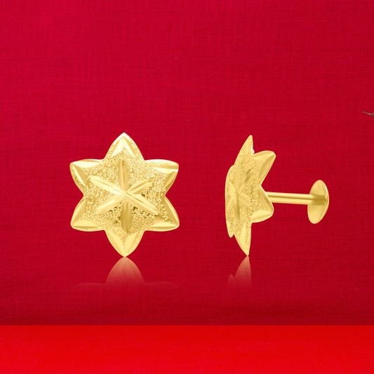 18K Pure Gold Star Screw Earring Set