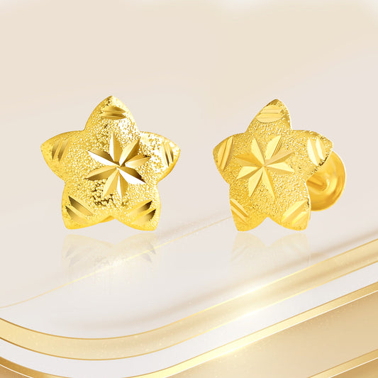 18K Pure Gold Fine Star Screw Earring Set