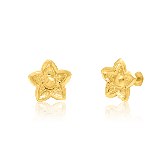 18K Pure Gold Star Screw Earring Set