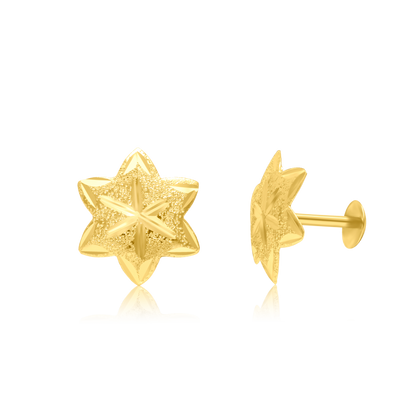 18K Pure Gold Star Screw Earring Set