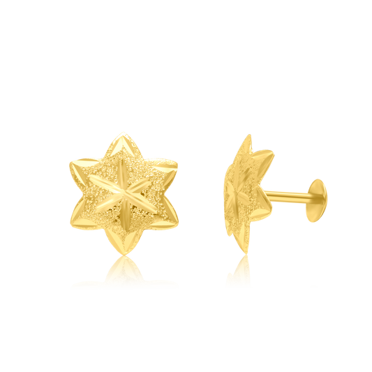 18K Pure Gold Star Screw Earring Set