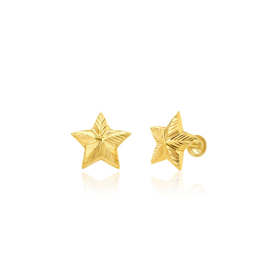 18K Pure Gold Star Screw Earring Set
